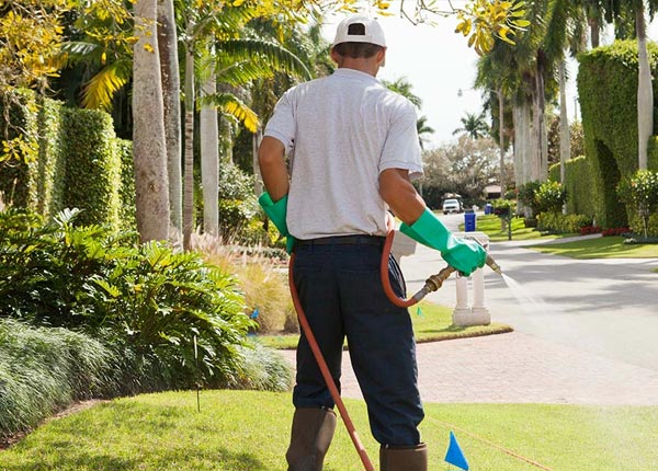 About Benson MN Pest Control Pros